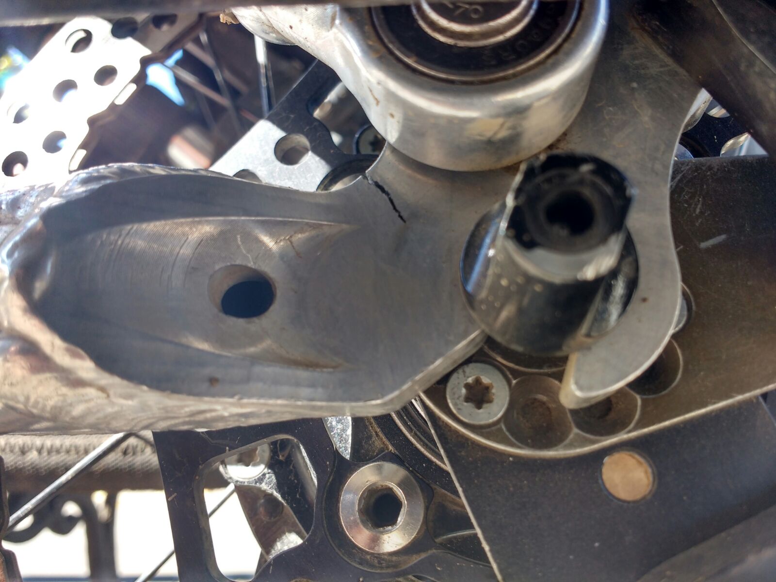 wp-1461629807639 image